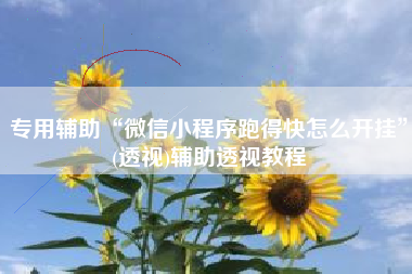 专用辅助“微信小程序跑得快怎么开挂”(透视)辅助透视教程