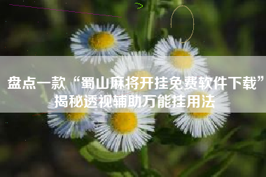 盘点一款“蜀山麻将开挂免费软件下载”揭秘透视辅助万能挂用法 盘点一款“蜀山麻将开挂免费软件下载”揭秘透视辅助万能挂用法