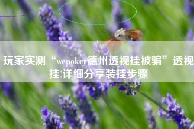 玩家实测“wepoker德州透视挂被骗”透视挂!详细分享装挂步骤 玩家实测“wepoker德州透视挂被骗”透视挂!详细分享装挂步骤