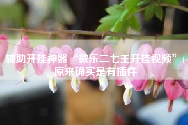 辅助开挂神器“微乐二七王开挂视频”(原来确实是有插件