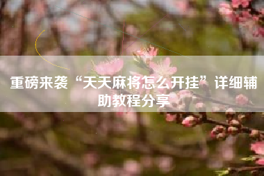 重磅来袭“天天麻将怎么开挂”详细辅助教程分享 重磅来袭“天天麻将怎么开挂”详细辅助教程分享