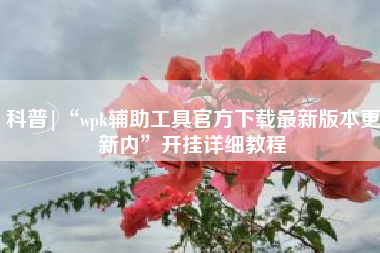 科普|“wpk辅助工具官方下载最新版本更新内”开挂详细教程 科普|“wpk辅助工具官方下载最新版本更新内”开挂详细教程