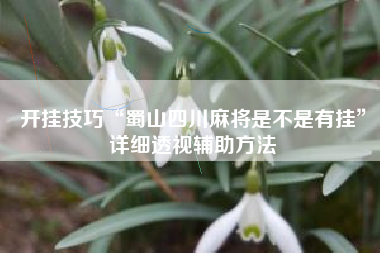 开挂技巧“蜀山四川麻将是不是有挂”详细透视辅助方法 开挂技巧“蜀山四川麻将是不是有挂”详细透视辅助方法