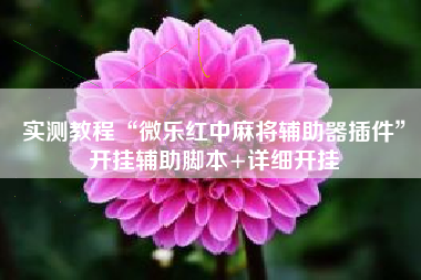 实测教程“微乐红中麻将辅助器插件”开挂辅助脚本+详细开挂