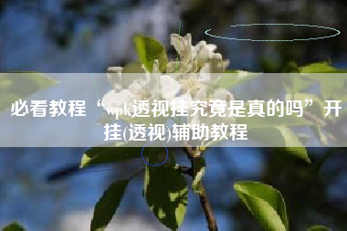 必看教程“wpk透视挂究竟是真的吗”开挂(透视)辅助教程
