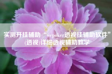 实测开挂辅助“wepoker透视挂辅助软件”(透视)详细透视辅助教学
