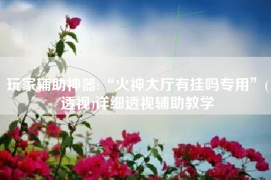 玩家辅助神器:“火神大厅有挂吗专用”(透视)详细透视辅助教学