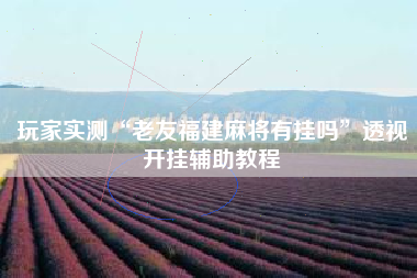 玩家实测“老友福建麻将有挂吗”透视开挂辅助教程