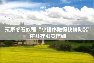 玩家必看教程“小程序跑得快辅助器”附开挂脚本详细