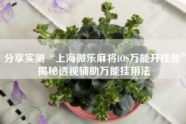分享实测“上海微乐麻将IOS万能开挂器”揭秘透视辅助万能挂用法
