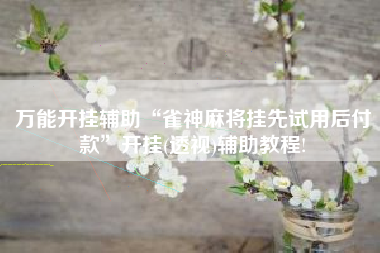 万能开挂辅助“雀神麻将挂先试用后付款”开挂(透视)辅助教程!