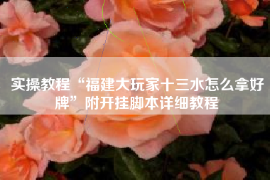 实操教程“福建大玩家十三水怎么拿好牌”附开挂脚本详细教程