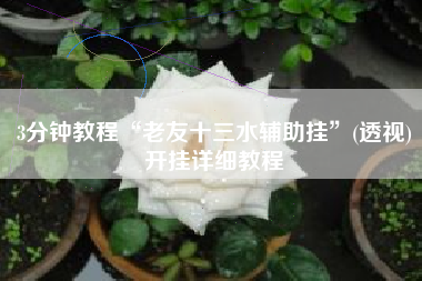 3分钟教程“老友十三水辅助挂”(透视)开挂详细教程