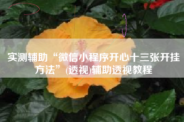 实测辅助“微信小程序开心十三张开挂方法”(透视)辅助透视教程