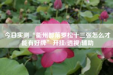 今日实测“衢州都莱罗松十三张怎么才能有好牌”开挂(透视)辅助 今日实测“衢州都莱罗松十三张怎么才能有好牌”开挂(透视)辅助