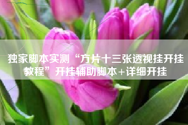 独家脚本实测“方片十三张透视挂开挂教程”开挂辅助脚本+详细开挂