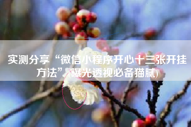 实测分享“微信小程序开心十三张开挂方法”(曝光透视必备猫腻) 实测分享“微信小程序开心十三张开挂方法”(曝光透视必备猫腻)