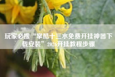 玩家必搜“掌酷十三水免费开挂神器下载安装”2026开挂教程步骤 玩家必搜“掌酷十三水免费开挂神器下载安装”2026开挂教程步骤