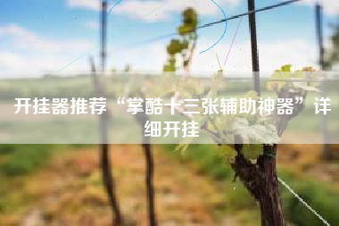 开挂器推荐“掌酷十三张辅助神器”详细开挂 开挂器推荐“掌酷十三张辅助神器”详细开挂