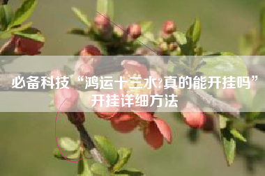 必备科技“鸿运十三水?真的能开挂吗”开挂详细方法 必备科技“鸿运十三水?真的能开挂吗”开挂详细方法
