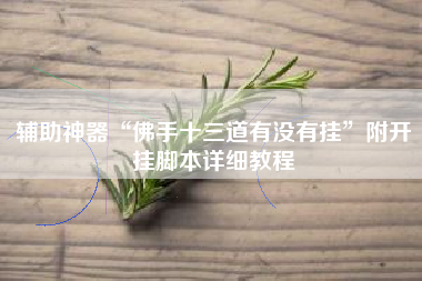 辅助神器“佛手十三道有没有挂”附开挂脚本详细教程
