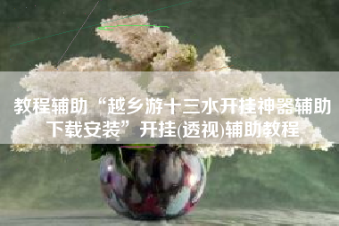 教程辅助“越乡游十三水开挂神器辅助下载安装”开挂(透视)辅助教程 教程辅助“越乡游十三水开挂神器辅助下载安装”开挂(透视)辅助教程