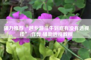 强力推荐“越乡游斗牛到底有没有透视挂”(作弊)辅助透视教程