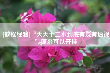 [教程经验]“天天十三水到底有没有透视”原来可以开挂