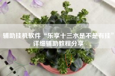 辅助挂机软件“乐享十三水是不是有挂”详细辅助教程分享