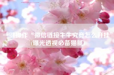 一键操作“微信链接牛牛究竟怎么开挂”(曝光透视必备猫腻) 一键操作“微信链接牛牛究竟怎么开挂”(曝光透视必备猫腻)