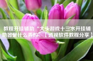 教程开挂辅助“大头游戏十三水开挂辅助器是什么弄的”【透视软件教程分享】