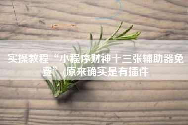 实操教程“小程序财神十三张辅助器免费”(原来确实是有插件 实操教程“小程序财神十三张辅助器免费”(原来确实是有插件