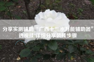 分享实测辅助“广西十三水万能辅助器”透视挂!详细分享装挂步骤