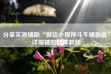 分享实测辅助“微信小程序斗牛辅助器”详细辅助软件教程 分享实测辅助“微信小程序斗牛辅助器”详细辅助软件教程