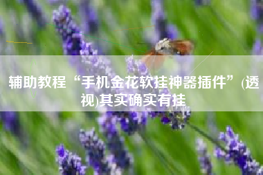 辅助教程“手机金花软挂神器插件”(透视)其实确实有挂