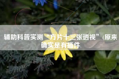 辅助科普实测“方片十三张透视”(原来确实是有插件 辅助科普实测“方片十三张透视”(原来确实是有插件