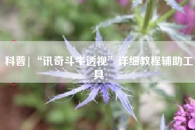 科普|“讯奇斗牛透视”详细教程辅助工具 科普|“讯奇斗牛透视”详细教程辅助工具