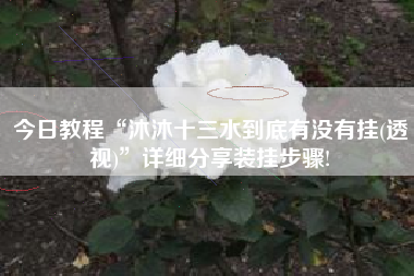 今日教程“沐沐十三水到底有没有挂(透视)”详细分享装挂步骤! 今日教程“沐沐十三水到底有没有挂(透视)”详细分享装挂步骤!