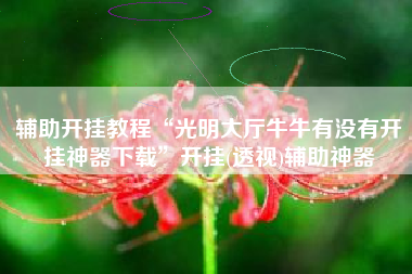 辅助开挂教程“光明大厅牛牛有没有开挂神器下载”开挂(透视)辅助神器