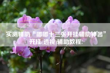 实测辅助“嘟嘟十三张开挂辅助神器”开挂(透视)辅助教程!