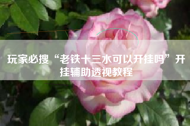 玩家必搜“老铁十三水可以开挂吗”开挂辅助透视教程