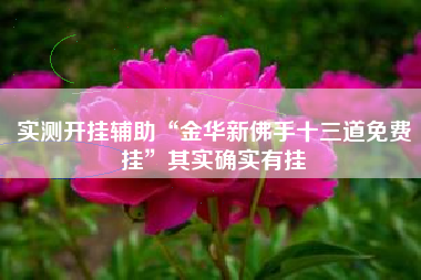 实测开挂辅助“金华新佛手十三道免费挂”其实确实有挂