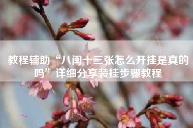 教程辅助“八闽十三张怎么开挂是真的吗”详细分享装挂步骤教程