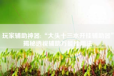 玩家辅助神器:“大头十三水开挂辅助器”揭秘透视辅助万能挂用法