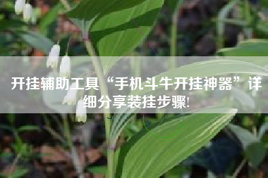 开挂辅助工具“手机斗牛开挂神器”详细分享装挂步骤!