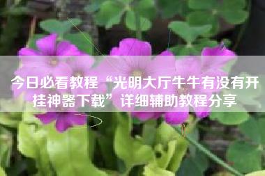 今日必看教程“光明大厅牛牛有没有开挂神器下载”详细辅助教程分享