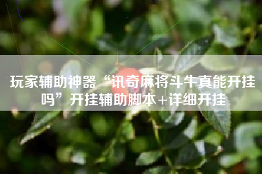 玩家辅助神器“讯奇麻将斗牛真能开挂吗”开挂辅助脚本+详细开挂