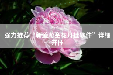 强力推荐“新道游金花开挂软件”详细开挂