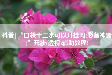 科普|“口袋十三水可以开挂吗(必备神器)”开挂(透视)辅助教程!