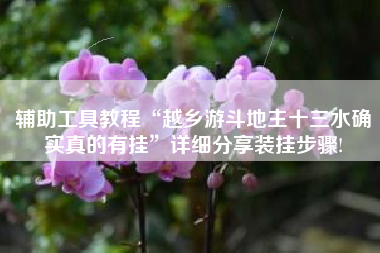 辅助工具教程“越乡游斗地主十三水确实真的有挂”详细分享装挂步骤!